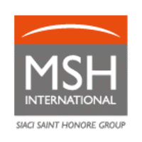 Msh International